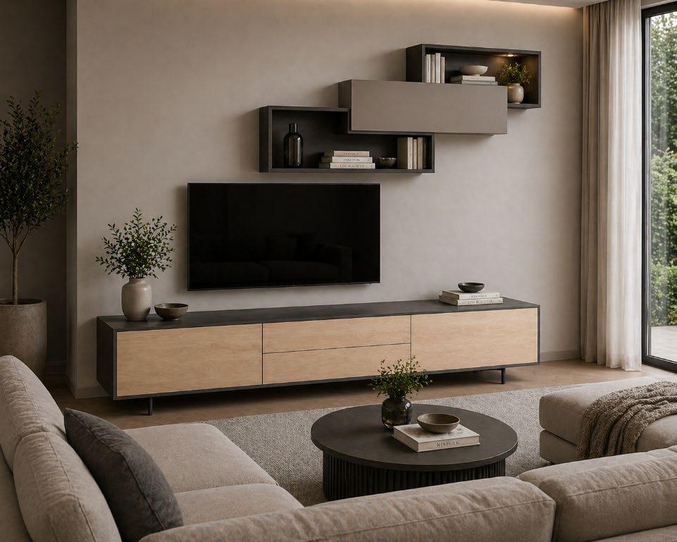 The ALVO Tv Units